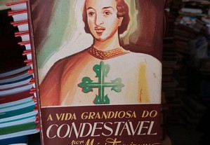 imagem_7