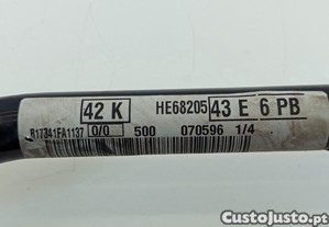 imagem_4