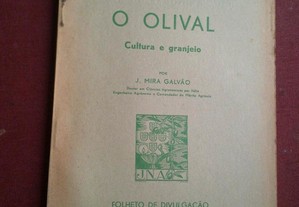 Junta Nacional do Azeite-O Olival (Cultura e Granjeio) por J. Mira Galvão-1940