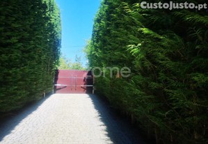 Quinta T3 Com Piscina Em Baião
