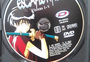 imagem_8