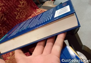 imagem_7