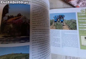 imagem_7