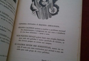 imagem_3