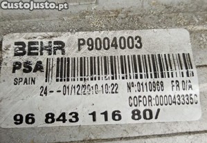imagem_6