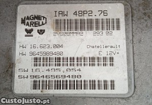 imagem_2