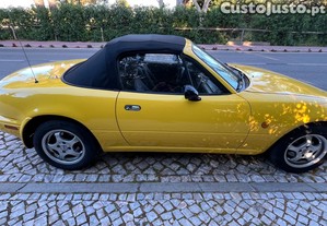 imagem_5