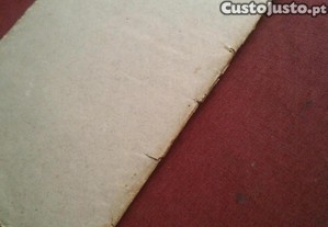imagem_10