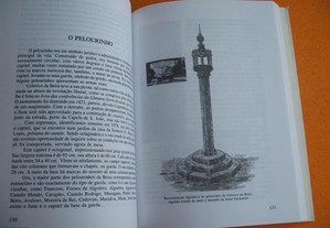 imagem_7