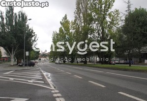 imagem_21