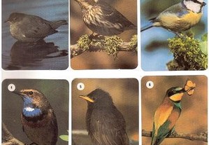 Coleção completa e numerada de 12 calendários sobre Aves 1993