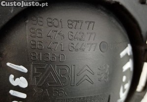 imagem_6