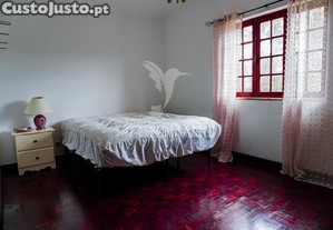 imagem_26