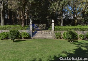 imagem_7
