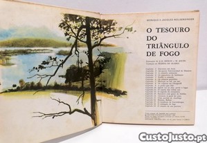 imagem_3
