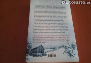 imagem_4