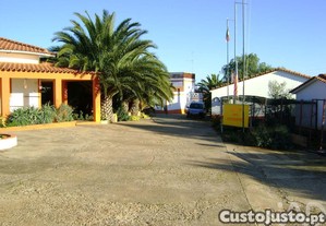 imagem_6
