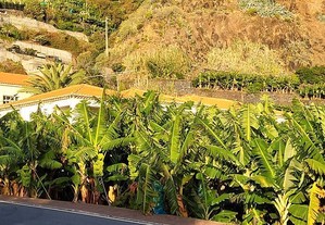 Terreno para construção em Madeira de 962,00 m²