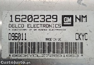 imagem_2