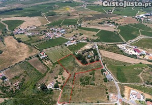 Oportunidade Única de Investimento em Terreno com Potencial Agrícola e Urbanizável   Canhestro 14.960 m².