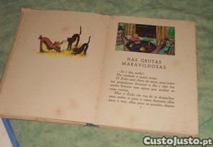 imagem_8