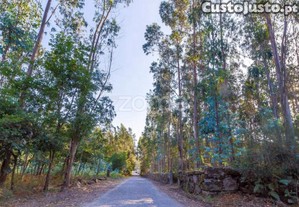 Terreno Rústico Com 13.470 M2 Em Monte Córdova...