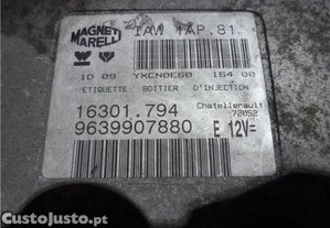 imagem_2