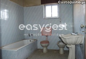imagem_19