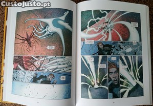 imagem_5