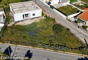 imagem_7