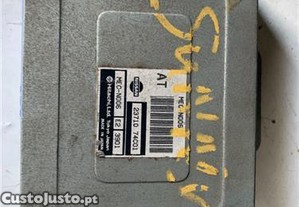 imagem_2