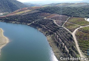 Quinta em Horta de 584006,00 m