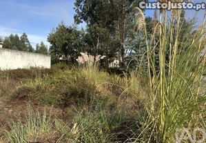 Terreno em Requeixo, Nossa Senhora de Fátima e Nariz de 310,00 m²