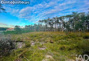 Terreno para constru��o em Monte Redondo e Carreira de 880,00 m�
