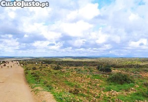 Terreno T1 em Vila do Bispo e Raposeira de 715460,00 m²