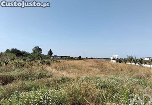 Terreno em Benfica do Ribatejo de 6720,00 m