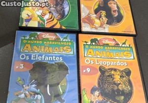 imagem_4