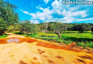 imagem_8