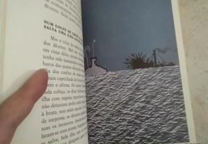 imagem_4