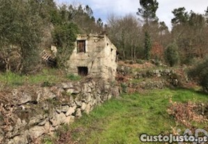 Terreno em Parada de Gonta de 100000,00 m²