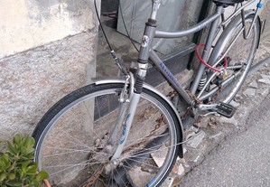 Bicicleta R