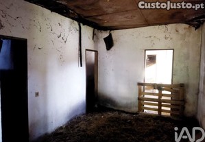 imagem_7
