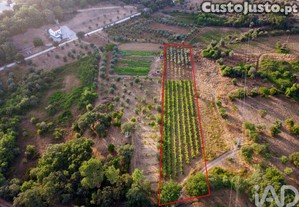 Terreno em Areias e Pias de 3000,00 m�