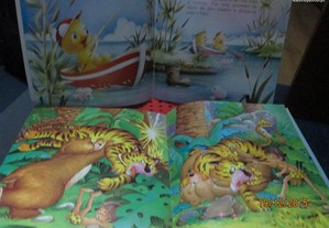 imagem_7