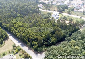 Terreno Urbanizável Com Área De 8.170 M2 -...