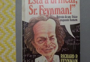 ESTÁ A BRINCAR, SR. FEYNMAN? Retrato de um físico enquanto homem.