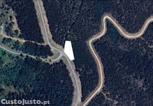 Terreno Agr�cola em Espinhal de 800,00 m�