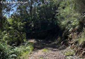 imagem_8