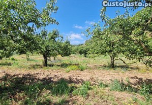 Terreno em Azueira e Sobral da Abelheira de 7812,00 m²