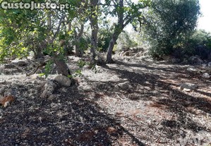 Terreno Agrcola em Alte de 6870,00 m